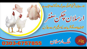 Urdu + english boy matter hai single page me. Professional Business Card Designing Ideas Coreldraw X8 In Hindi Urdu Youtube