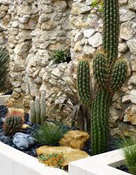 Dans les autres jardins, prévoyez un espace spécifique, tant leurs conditions de culture demandent des règles précises. Toukipic Pepiniere Production De Cactees I Amenagement De Jardins