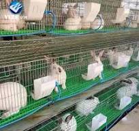 Jaula para Conejos de Cría en Oferta, 3 Niveles, 12 Puertas con Piso Verde,  en Malasia y Filipinas