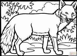 Easy and free to print fox coloring pages for children. Red Fox Coloring Page Coloring Home