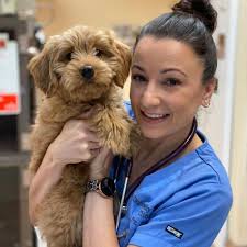 University Animal Clinic: Top Rated Sarasota Veterinarians
