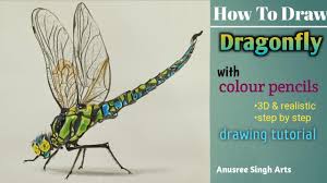 Check spelling or type a new query. Drawing Realistic 3d Dragonfly With Colour Pencils Anusree Singh Arts Easy Tutorial Subscribe Youtube