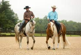 Dan james and dan steers, the two men behind double dan horsemanship, are very talented individuals who draw their knowledge from every corner of the globe. Double Dan Horsemanship For The Love Of The Horse