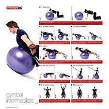 Buy New Escape Stability Ball Progression Poster Home Gym