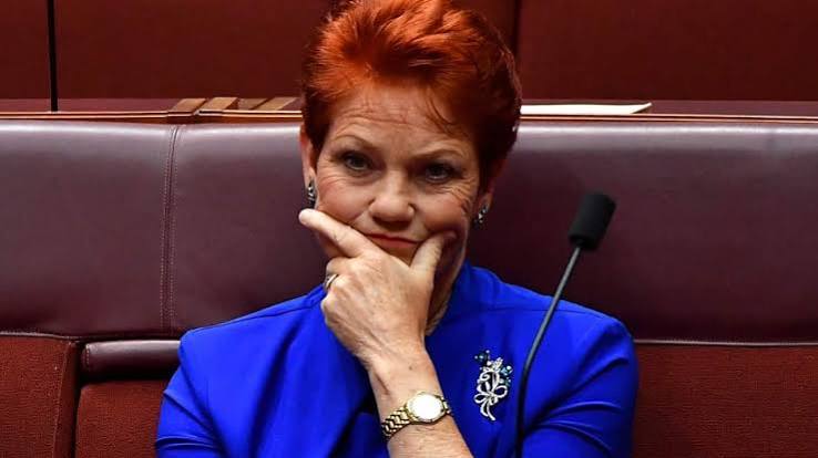 Gobsmacked' Pauline Hanson slams welcome to country ceremonies on flights | SBS News