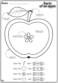 Leaf Worksheets For Kindergarten Worksheet For Kindergarten Preschool Worksheets Preschool Apple Theme Kindergarten Worksheets