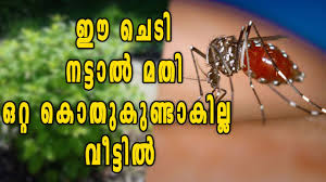 The act of protecting something or someo.: Recant Meaning In Malayalam Learning Malayalam A Complete Self Study Guide