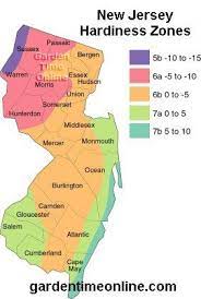 New Jersey Hardiness Zone Map New Jersey Cape May Middlesex