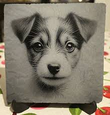 250mm x 200mm slate sanded then 2 coats of black satin acrylic spray paint,  Power 30% Speed 6000 Dpi 318 Credit to George Burnett for the image