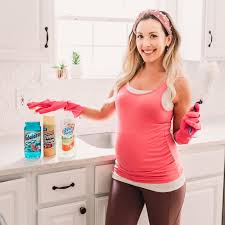 Extreme Cleaning Motivation with Dollar Tree Products