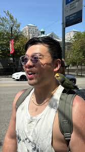 Shout out to the lady who stopped traffic for an injured bird