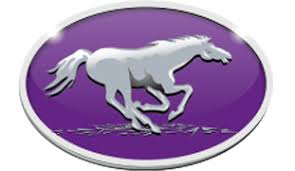 About 2% of these are brooches, 0% are zinc alloy jewelry, and 0% are acrylic jewelry. Queen Pin 2010 Action Directed By Gin X