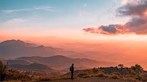 100 Peace Pictures Download Free Images On Unsplash Peace design resources · high quality aesthetic backgrounds and wallpapers, vector illustrations, photos, pngs, mockups, templates and art. 100 peace pictures download free