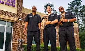 Medical records are incredibly important to our hospital and how we practice medicine. The Vet Life Cast And Characters Lawsuit And Episodes Continuity