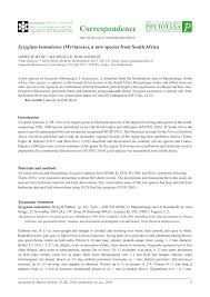Image result for Syzygium komatiense