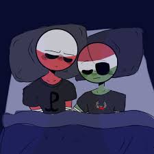 Poland x hungary (requested) | •countryhumans amino• eng amino. Pin By Otsukin On Poland X Hungary Poland Anime Language Jokes