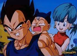 Cara pengunaanya pun praktis loh. Vegeta And Parenting Skills