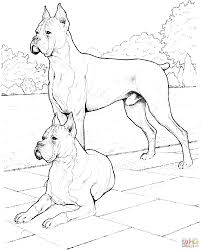Printable realistic puppy coloring pages for preschoolers. Coloring Pages Fluffy Dogs Coloring Home