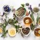 Herbs for Mental Health event image