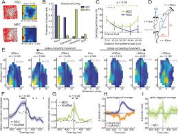 If you are stuck in happy glass level 128 you came to the right place. Entorhinal Retrosplenial Circuits For Allocentric Egocentric Transformation Of Boundary Coding Elife