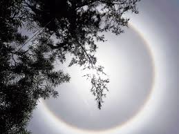 Sun crown gold halo headpiece sunburst crown gothic crown festival burning man. Halo Calcutta When The Sun Wore A Rainbow Ring Telegraph India