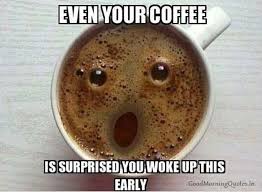 Enjoy these funny quotes about as funny as quotes. Funny Quotes About Looking Good Quotesgram