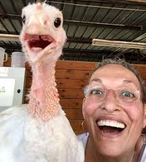 שי ממש שמחה לבשר שהיא מרגישה הרבה הרבה יותר טוב ושהנפיחות כמעט וירדה לגמרי!