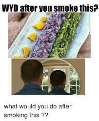 Wyd After You Smoke This What Would You Do After Smoking This Meme On Me Me