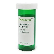 Image result for Cephalexin