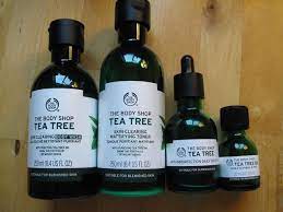 Transforming My Oily Acne Prone Skin Review The Body Shop Tea Tree Oil For Acne Prone Tea Tree Oil For Acne Tea Tree Oil Skin Body Shop Tea Tree