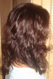 l professionnel inoa hair colour