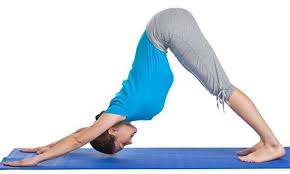 10 Best Yoga Asanas For Faster Hair Growth For Men Women Cool Yoga Poses Easy Yoga Poses Easy Yoga Workouts