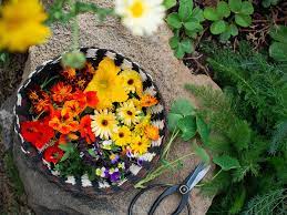 Jul 07, 2021 · have you ever considered using flowers in the kitchen? Edible Flowers You Can Grow In Your Garden