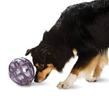 We did not find results for: What Are The Best Dog Supplies According To Reddit