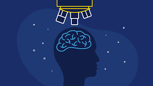 The latest science news and developments about space, animal behavior, plant life, the brain, genetics, archaeology, robots and climate change, along with carl zimmer and the weekly science times. What Every Teacher Should Know About The Science Of Learning