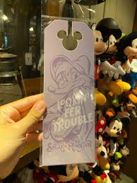 Mountain west media days recap: Photos Make A Splash With New Splash Mountain Door Hangers From The Briar Patch At The Magic Kingdom Wdw News Today