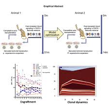 For a plate renewal, your vehicle may be subject to an emissions test before being able to renew your plate. Comparative Engraftment And Clonality Of Macaque Hspcs Expanded On Human Umbilical Vein Endothelial Cells Versus Non Expanded Cells Molecular Therapy Methods Clinical Development