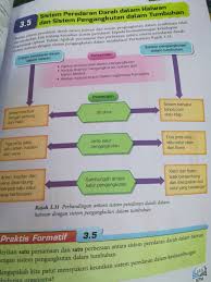 Sistem peredaran ini berfungsi baik dengan adanya jantung yang sebagai pam bertindak menyedut dan. T3 3 5 Sistem Peredaran Darah Dalam Haiwan Dan Sistem Pengan Quiz Quizizz