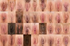 Vagina Types - 42 photos