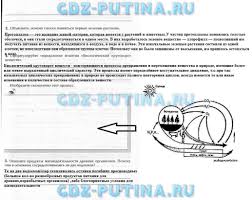 учебник по окружающий мир 4 класс вахрушев 1 часть читать Gdz Po Dm Po Algebre Literature Memes Blog