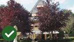 Hotel Landgoed Huis te Eerbeek, review door Hotelkamercheck - YouTube