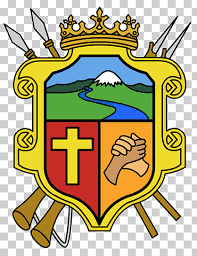 Escudo del deportes tolima hecho en madera, con una altura de aprox. Departamento De Tolima Png Klipartz