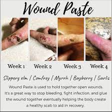 Make Your Own Healing Wound Paste — Healthy Life Solutions
