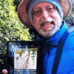 Hunt for Oyster Mushrooms in Inwood HillPark with naturalist/author  "Wildman" Steve Brill