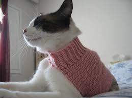 Every little detail you need to know to succeed is explained. Crochet A Sweater For Your Cat Free Patterns Grandmother S Pattern Book