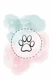 Dihalaman ini anda akan melihat background sorotan ig hitam yang menarik! 27 Ide Sorotan Instagram Kucing Instagram Kucing Seni Kucing