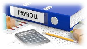 Payroll System Efficient Way Of Managing Small Business Payroll Payroll Software Payroll Payroll Taxes