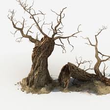 Dry Tree 04 3d Model Max Fbx 7 Dry Tree Tree 3d Model