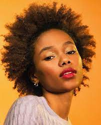 Shea moisture is one of the most affordable natural hair brand out there right now. How To Do A Wash And Go Routine In 2021 For Healthy Hydrated Hair