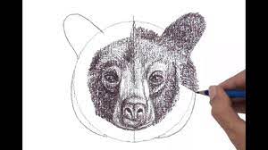 For more realistic tutorials, check out these videos: Black Bear Head Front View Youtube